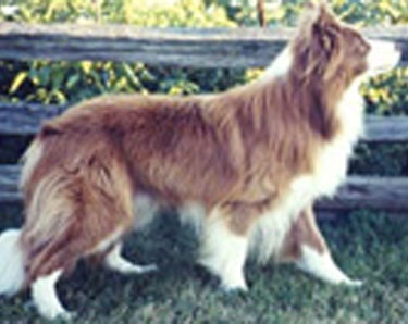 Copper